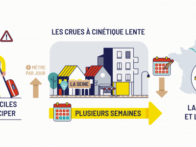 Vidéo crue à cinétique lente