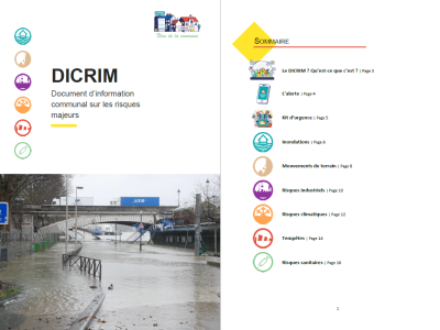 episeine_dicrim.png