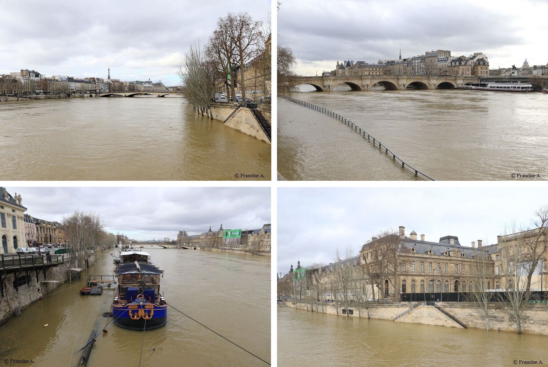 La Seine en crue à Paris - février 2021 - Blog Paris Autrement par Francine A.
