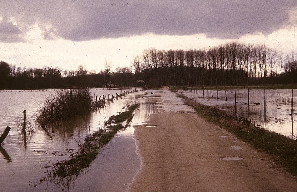 La Blaise dans la région de Ste-Marie lors de la crue de mars 1995 
