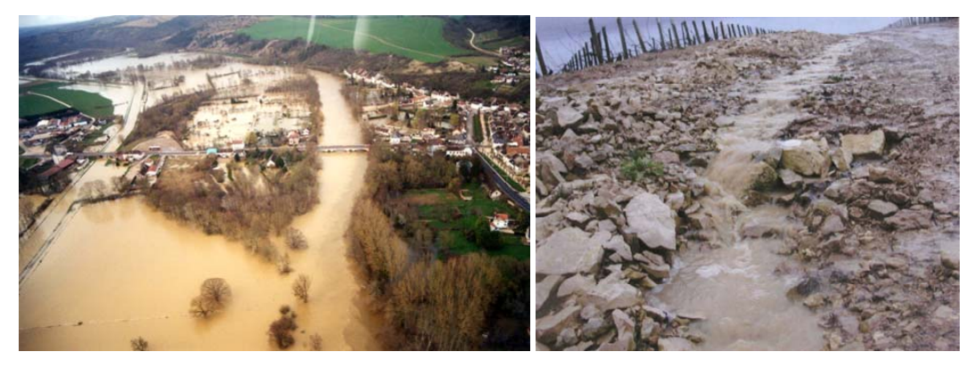 L’Yonne à Cravant, et ruissellement à Milly en mars 2001 (EPRI, 2011)